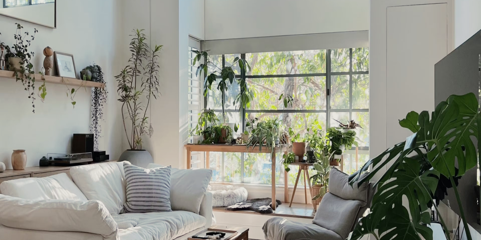 Modern Living Room With Plants